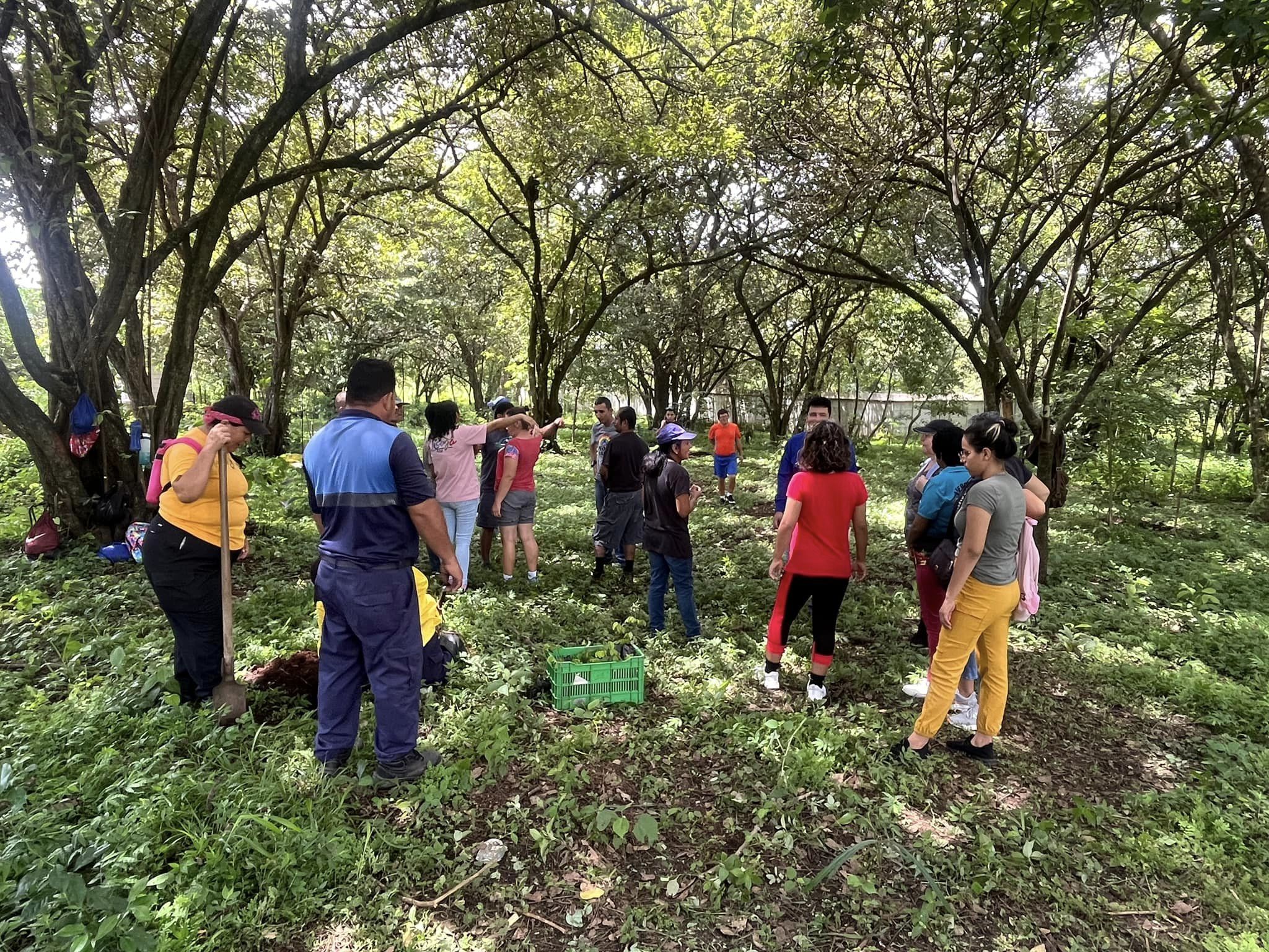 Plan de Compensación forestal de la costrucción del nuevo puente sobre el Río Grande