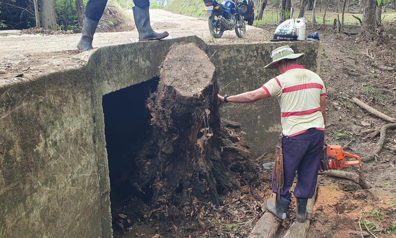 Tronco obstruyendo alcantarilla
